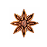 Anise Concentrate - 10ML