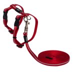Rogz Alleycat H-harness And Lead Combination - Red