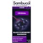 Sambucol Original Syrup 120ML