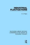 Industrial Fluctuations Hardcover