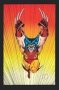 Wolverine Omnibus Vol.   Paperback