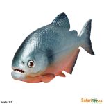 Sea Life Piranha