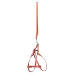 Pet Leash 1.0CM P603677