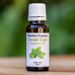 Sweet Basil Essential Oil 22ML Nautica Organics