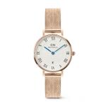 Petite Rose Gold Roman Numerals Date Watch