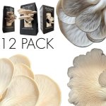 MINI Mushroom Variety Box Set 12 Pack