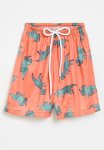 PoP Candy Printed Board Shorts - Orange & Green