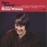 Here Today The Songs Of Brian Wilson Vinyl Record