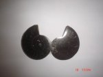 Ammonite Pair SPE12