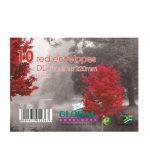 Dl Envelopes Red 10S