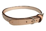 Leather Dog Collar Reinforced 34 30MM X 850MM