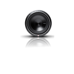 Rockford Fosgate P3D2-10 Punch 10 P3 2-OHM Dvc Subwoofer