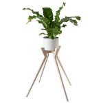 Xeno Pot Plant Holder Pot Included