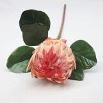Queen Protea Orange 70 Cm
