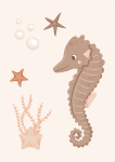 Seahorse : Canvas Print - 600MM X 600MM