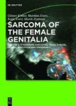 Other Rare Sarcomas Mixed Tumors Genital Sarcomas And Pregnancy Hardcover