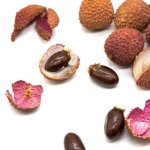 Fizzy Lychee Concentrate - 10ML