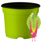 Medium Pots - Lime Green