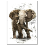 African Elephant Modern Wildlife Art Wall Canvas Print 1200 X 800