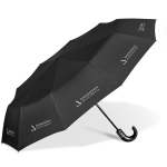Zeus Auto-open Compact Umbrella - Black