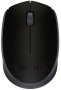 Logitech Wireless Mouse – M171 Black