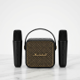 MINI Karaoke Amplifier With Microphones