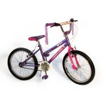 20" Girls Bmx