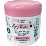 Epy Derm B +5% Urea 500ML
