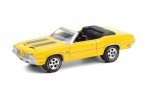 Greenlight – 1:64 Barrett-jackson Scottsdale Ed. Series 6 1970 Oldsmobile 442 Convertible