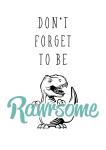 Rawrsome - Acrylic Wall Print - 600MM X 600MM