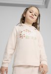 Puma Ess+ Fc Hoodie Tr - Island Pink