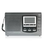 HRD-310 Portable Fm Am Sw Full Band Digital Demodulation Radio Grey