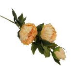 Peony 92CM - Cream