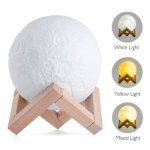 Bedside Moon Light 3D Printing