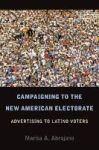 Campaigning To The New American Electorate - Advertising To Latino Voters Paperback