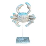 Blue Tip Beige Crab