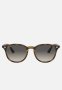 Sunglasses 0RB4259 51 - Tortoise