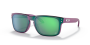 Oakley - Holbrook - Tld Matte Purple Green Shift/prizm Jade