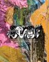 Assume Vivid Astro Focus   Hardcover