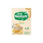 Nestum Baby Cereal Stage 1 Banana 250G