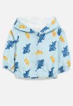 PoP Candy Dino Printed Hooded Jacket-blue