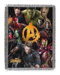 Northwest Avengers Woven Tapestry Throw Blanket 48" X 60" Find Them
