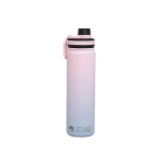 Lizzard Flask 650ML Assorted - Pink Blue Ombre