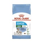 ROYAL CANIN MINI Starter Mother & Baby Dog - 8KG