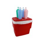 Cooler Box Summer Combo – Ice Cream Cups 4PCS