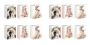12-PIECE Beauty Wedding Print Gift Bags Set - 26 X 32 X 12.5CM.