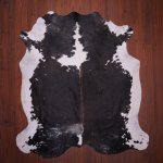 As Grade Nguni Hide 664 Tricolor L - Large Tricolor Panelled