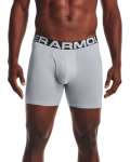 Men's Charged Cotton 6" Boxerjock 3-PACK - Mod Gray Medium Heather LG