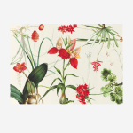 Paper Placemats - Scarlet Garden