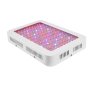 Full Spectrum Plant Grow Light 1000W